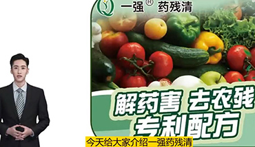 The function of natural brassinolates